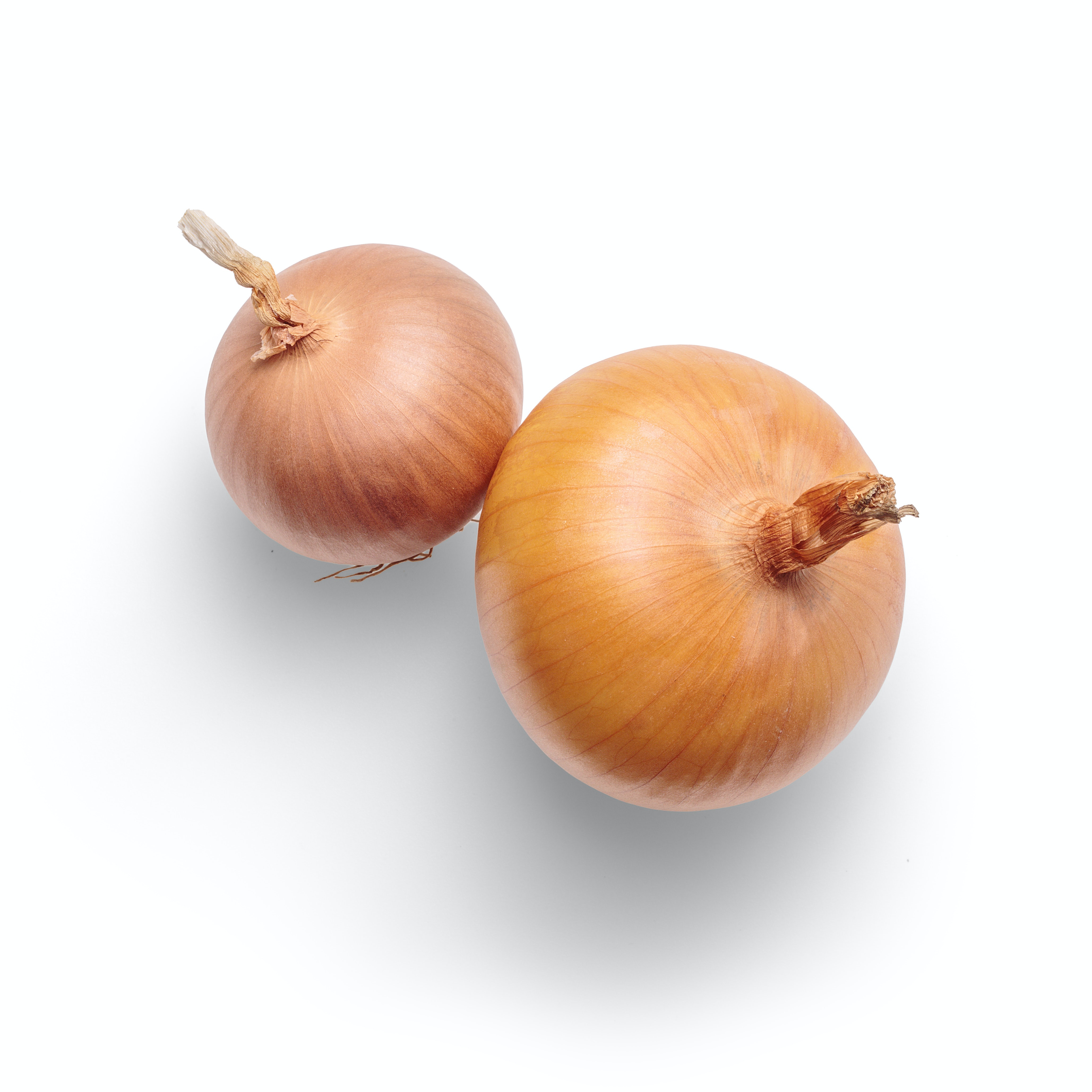 onion