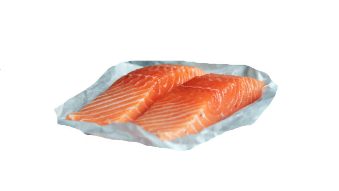 salmon