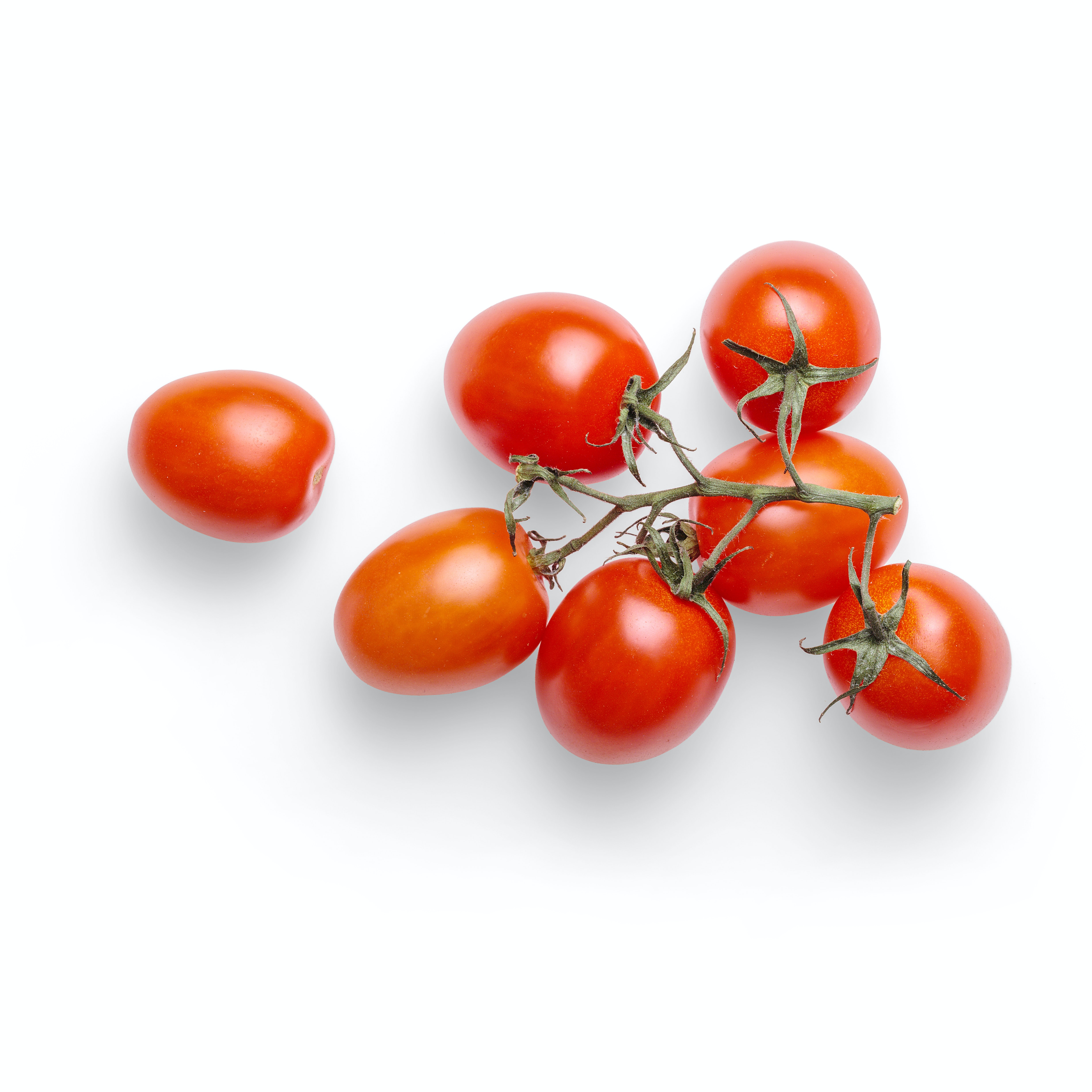 tomato